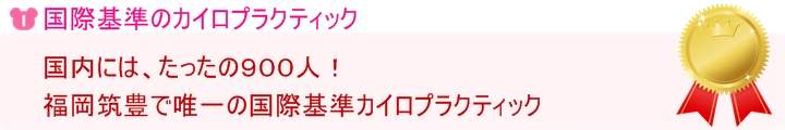 WHO国際基準のカイロプラクティック治療です
