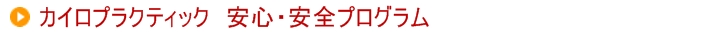 カイロプラクティック 安心・安全プログラム