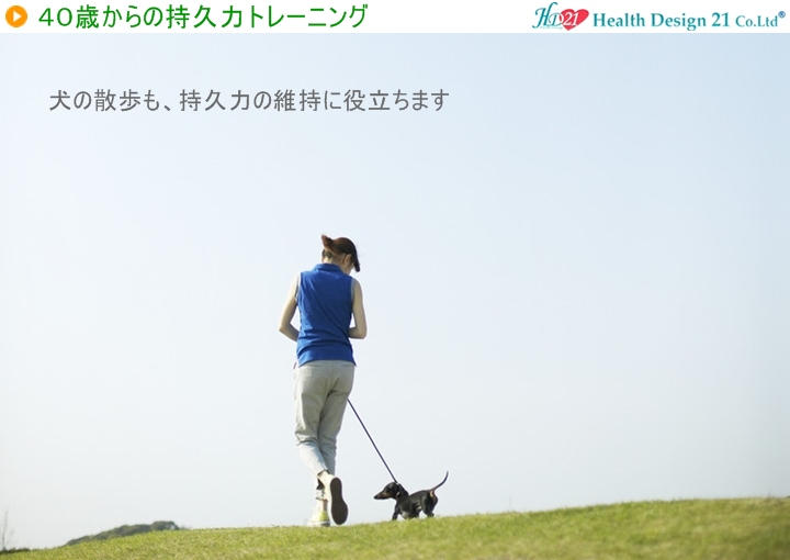 犬の散歩でも持久力維持に役立ちます